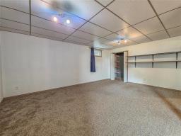53034 114 Road W, Brandon, MB R7A5Y1 Photo 21