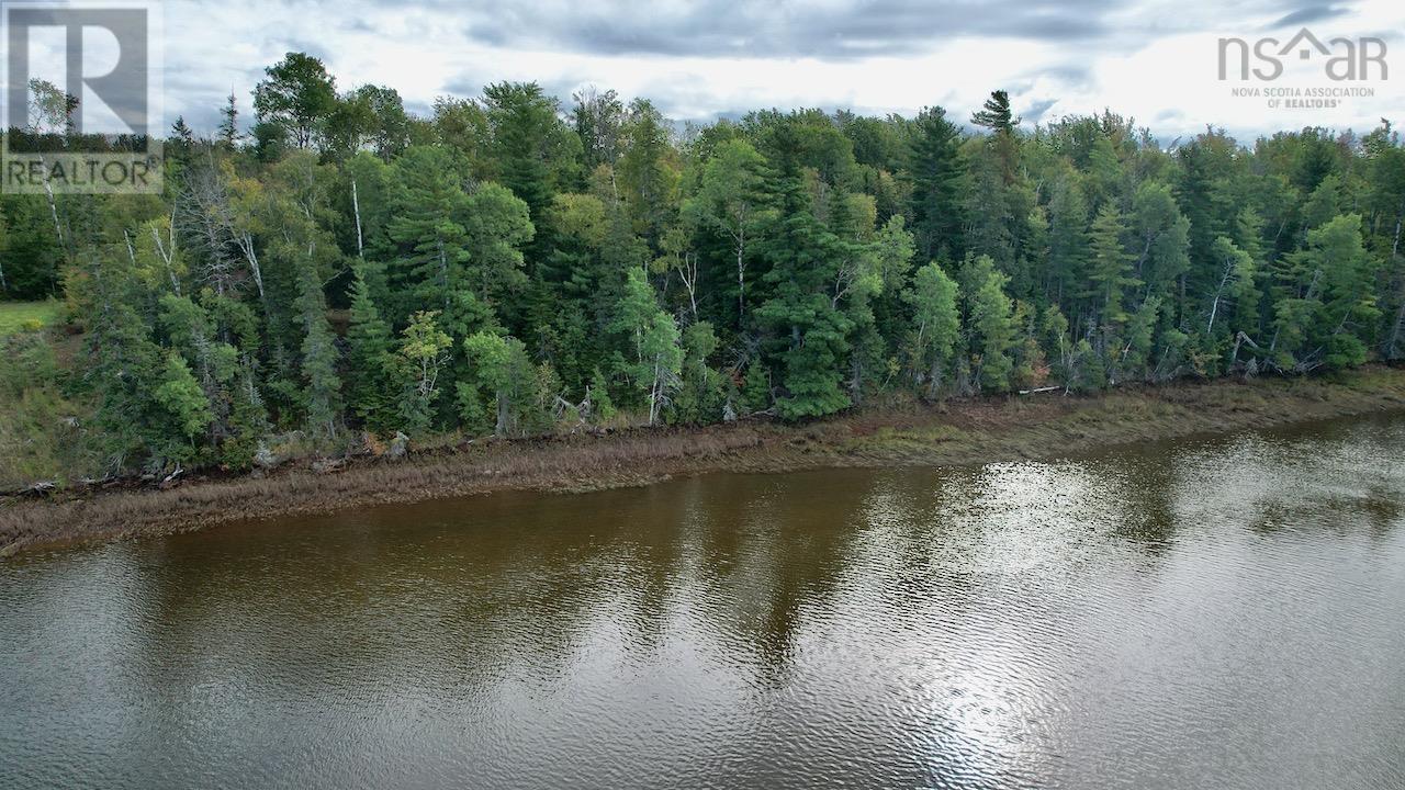24-5 Highway 321 Highway, Roslin — photo 3