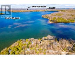 194 Wiles Lane, Grey Highlands, ON N0C1E0 Photo 46