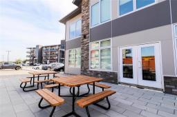 110 60 Philip Lee Drive, Winnipeg, MB R3W0R2 Photo 38