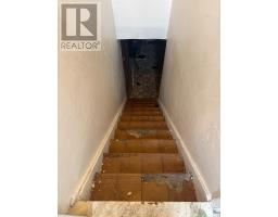 Recreational, Games room - 64 Ashburnham Road, Toronto, ON M6H2K5 Photo 9
