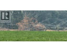 5905 Edwards Road, Grand Forks, BC V0H1H9 Photo 11
