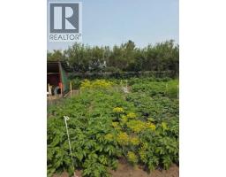 274133 Range Rd. 252, Rural Rocky View County, AB T0M0G0 Photo 45