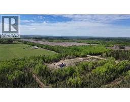 872083 Rge Rd 54, Rural Clear Hills County, AB T0H3W0 Photo 41