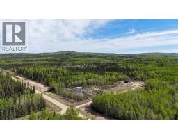 872083 Rge Rd 54, Rural Clear Hills County, AB T0H3W0 Photo 37