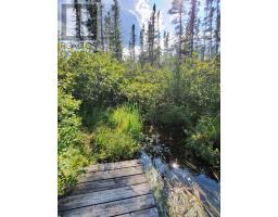 91927 Loonlake Drive, Cobalt, ON P0J1C0 Photo 13