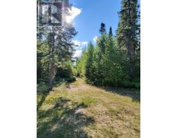 91927 Loonlake Drive, Cobalt, ON P0J1C0 Photo 21