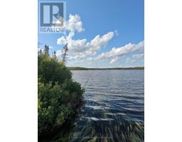 91927 Loonlake Drive, Cobalt, ON P0J1C0 Photo 12