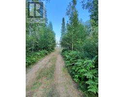 91927 Loonlake Drive, Cobalt, ON P0J1C0 Photo 23