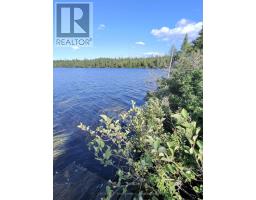 91927 Loonlake Drive, Cobalt, ON P0J1C0 Photo 11
