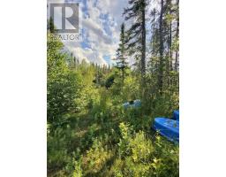 91927 Loonlake Drive, Cobalt, ON P0J1C0 Photo 8