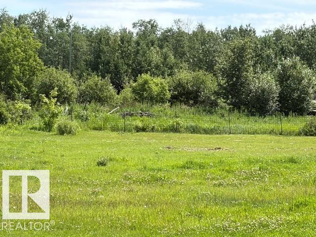 56527 Rge Rd 231 - Photo 8