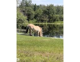 56527 Rge Rd 231, Rural Sturgeon County, AB T0A1N4 Photo 15