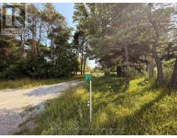 575 Reive Boulevard, Innisfil, ON L0L1L0 Photo 7