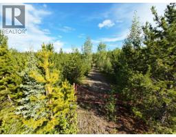 Lot F Tibbles Road, Quesnel, BC V2J3H9 Photo 14