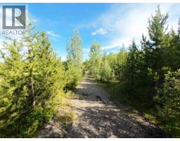Lot F Tibbles Road, Quesnel, BC V2J3H9 Photo 8