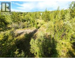 Lot F Tibbles Road, Quesnel, BC V2J3H9 Photo 9
