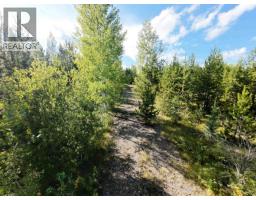 Lot F Tibbles Road, Quesnel, BC V2J3H9 Photo 10