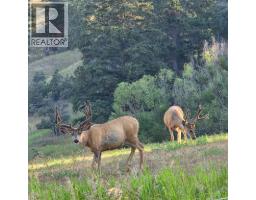 5564/5574 Highway 95 Highway, Edgewater, BC V0A1E0 Photo 47