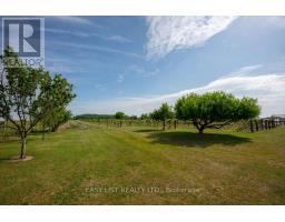 710 Seacliff Drive, Kingsville, ON N9Y2K7 Photo 18