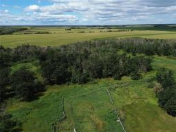 122098 Pth 8 Highway, Gimli Rm, MB R0C2R0 Photo 34