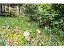 10628 Hislop Road, Telkwa, BC V0J2X1 Photo 39