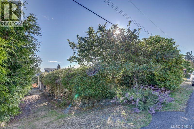 3628 Overlook Dr - 41