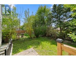 227-basement Thoms Crescent, Newmarket, ON L3Y1C9 Photo 11