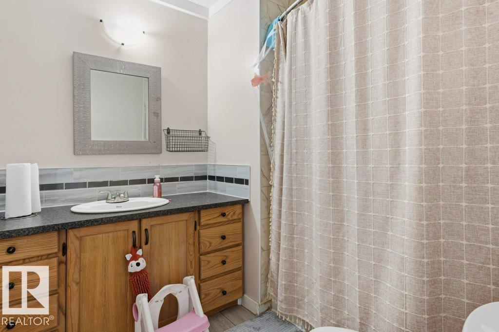 55413 RGE ROAD 53A - Photo 48