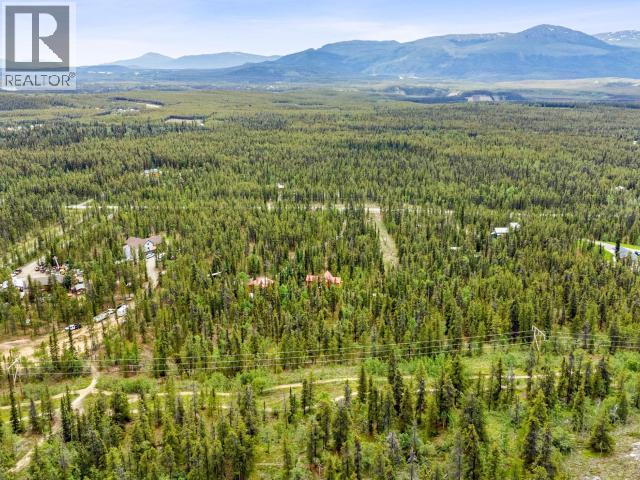113 BOREAL ROAD - 52