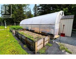 1118 Dutch Line Road E, Trent Lakes, ON K0M2A0 Photo 12