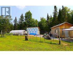 1118 Dutch Line Road E, Trent Lakes, ON K0M2A0 Photo 15