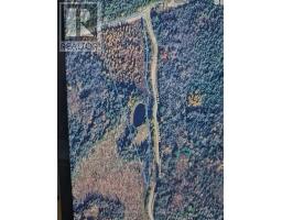 1118 Dutch Line Road E, Trent Lakes, ON K0M2A0 Photo 16