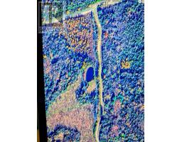 1118 Dutch Line Road E, Trent Lakes, ON K0M2A0 Photo 17