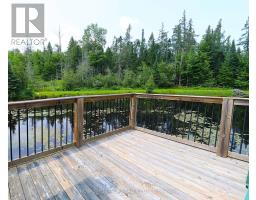 1118 Dutch Line Road E, Trent Lakes, ON K0M2A0 Photo 6
