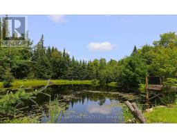 1118 Dutch Line Road E, Trent Lakes, ON K0M2A0 Photo 8