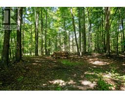 340 North Burgess 8th Concession, Tay Valley, ON K7H0E5 Photo 40