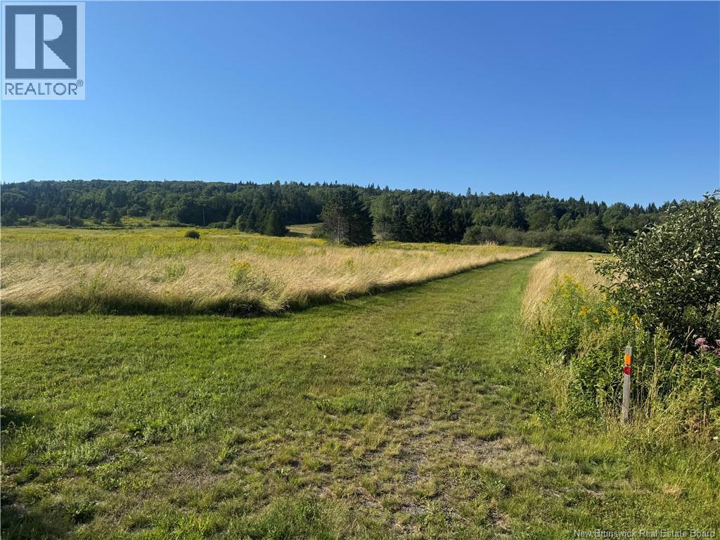 VACANT LOT Big Salmon River Road