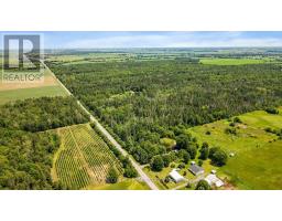 10550 Hulbert Road, South Dundas, ON K0C1C0 Photo 39