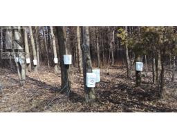 10550 Hulbert Road, South Dundas, ON K0C1C0 Photo 47