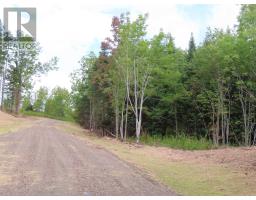 2601 Highway 337 Antigonish Harbour, N.s., Antigonish Harbour, NS B2G2L2 Photo 10