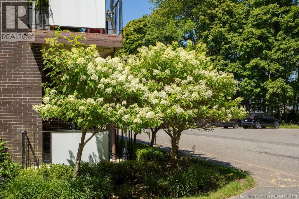 #2 2865 Rothesay Road - Image 38