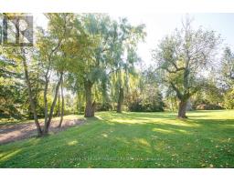 21 David Drive, Kawartha Lakes, ON K9V5G7 Photo 10