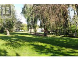 21 David Drive, Kawartha Lakes, ON K9V5G7 Photo 21