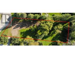 21 David Drive, Kawartha Lakes, ON K9V5G7 Photo 6