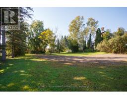 21 David Drive, Kawartha Lakes, ON K9V5G7 Photo 7