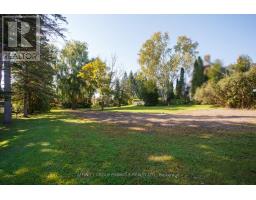 21 David Drive, Kawartha Lakes, ON K9V5G7 Photo 8