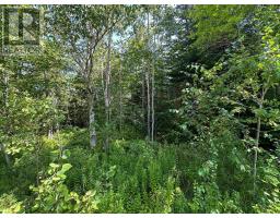 Lot 104 Crouses Settlement Road, Crouses Settlement, NS B0J2C0 Photo 6