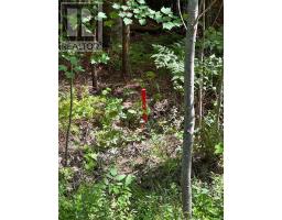 Lot 102 Crouses Settlement Road, Crouses Settlement, NS B0J2C0 Photo 7