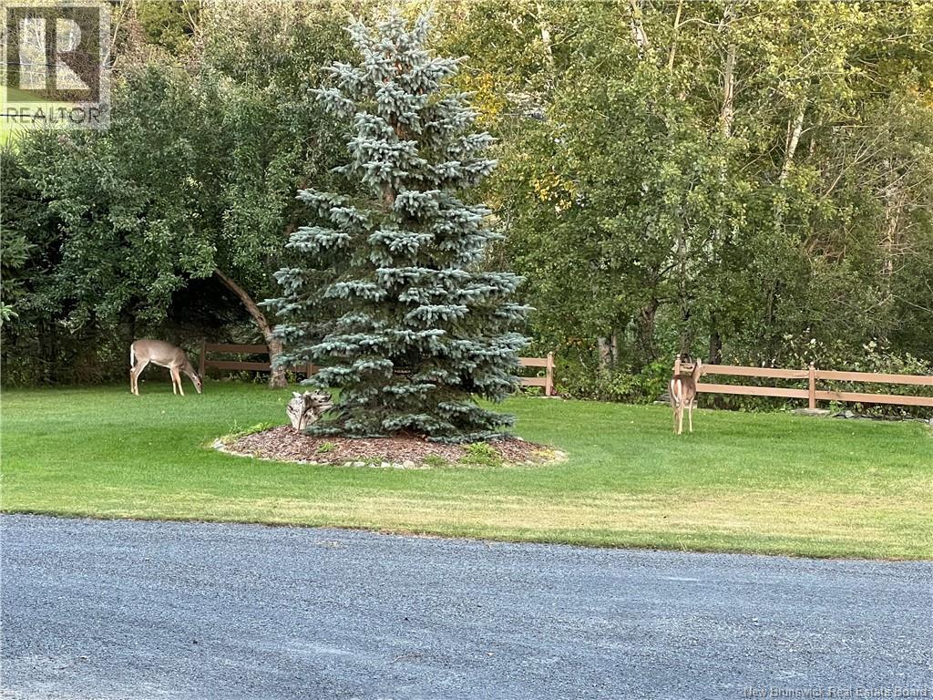 438 Titus Road - 41